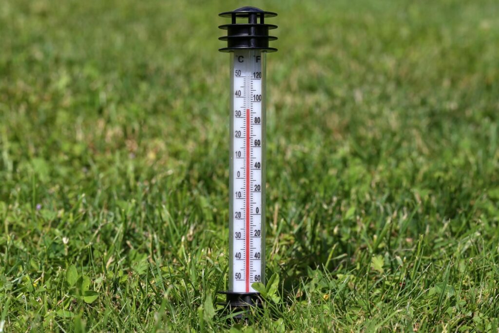 Ein Bodenthermometer im Gras misst die Temperatur für den idealen Zeitpunkt zum Zucchini pflanzen
