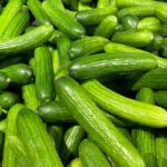 Ein Haufen frisch geernteter, grüner Landgurken aus dem eigenen Garten, bereit für die Küche.