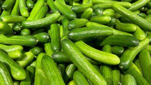 Ein Haufen frisch geernteter, grüner Landgurken aus dem eigenen Garten, bereit für die Küche.
