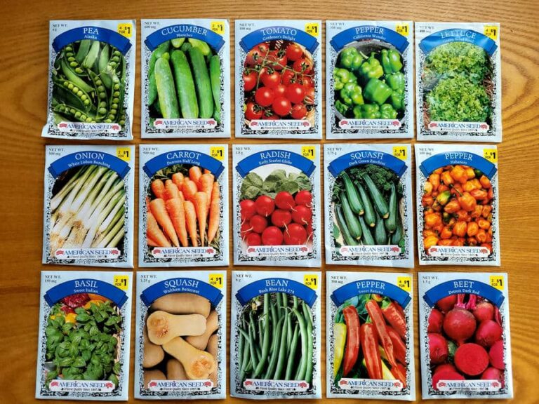Verschiedene bunte Saatguttüten von Gemüse und Kräutern wie Tomaten, Gurken und Basilikum ordentlich aufgereiht.