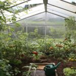 Blick in das lichtdurchflutete Innere eines leeren Gewächshauses im Garten, bereit für die neue Anbausaison.